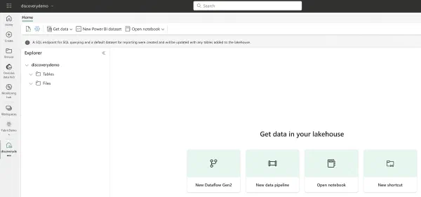 Microsoft Fabric's Auto Discovery: a closer look